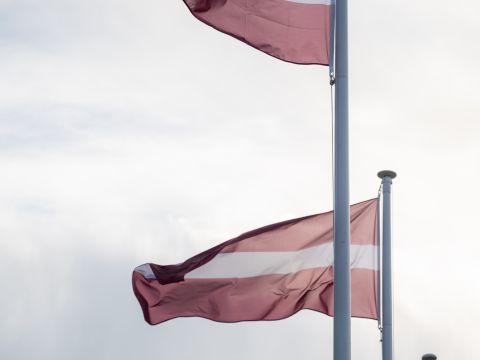 Svinīgā ziedu nolikšana Cēsīs, Vienības laukumā