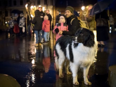 Lāčplēša diena Cēsīs. 11.11.2023.