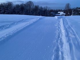 Bērzaine