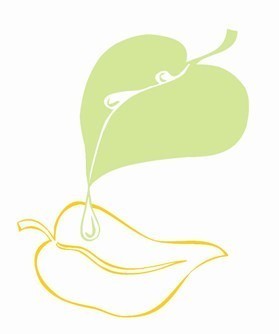 Noslēdzies kustību un deju nodarbību projekta pirmais cikls