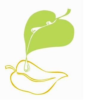 NVO sociālo jomu projektu realizēšana