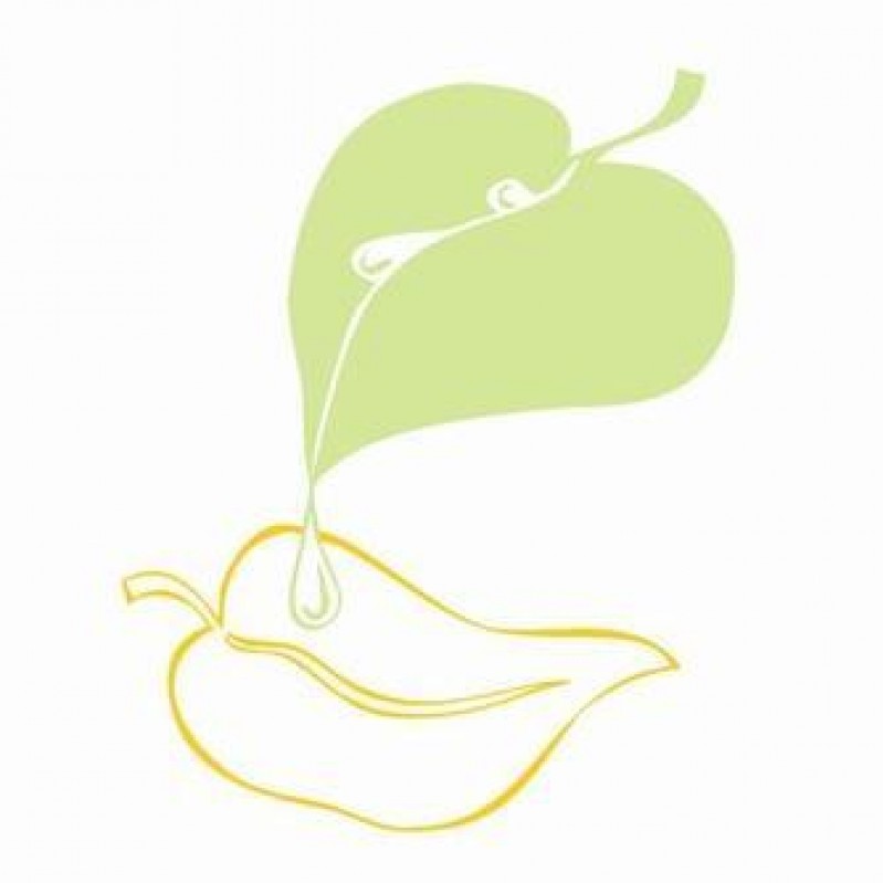 Cēsu novadā turpinās aprūpētāju apmācības