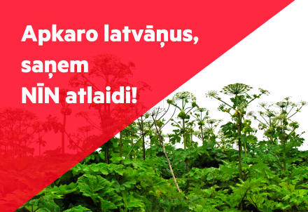 Latvāņu apkarotājiem līdz 31.maijam iespējams pieteikties NĪN atvieglojumam