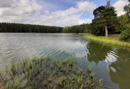 Informācija par Niniera un Ungura ezera ūdens kvalitāti