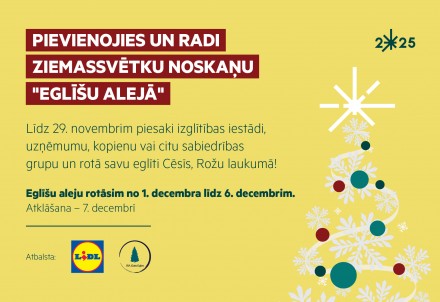 Iesaisties Cēsu Ziemassvētku noskaņas veidošanā – rotā eglīti Rožu laukumā!