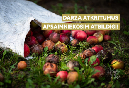 Dārza atkritumi - ko ar tiem darīt?