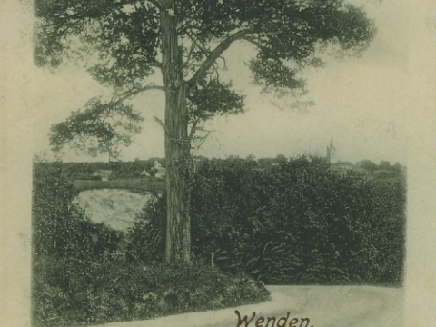 Cēsu panorāma 20. gs. sākumā