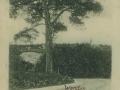 Cēsu panorāma