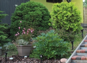 Dzintara iela 12, Cēsis